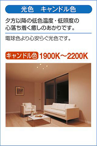 DAIKO 大光電機 小型シーリング DCL-42469YG | 商品紹介 | 照明器具の