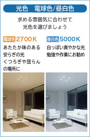 DAIKOダウンライト７個セット｜DDL-5105WW｜大光電機ダイコー DAIKO 大光電機 ダウンライト DDL-5137WW | 商品紹介 | 照明器具の通信