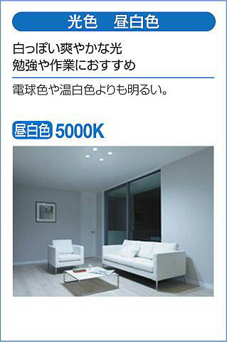 DAIKO 大光電機 ダウンライト(軒下兼用) DDL-5442WWG | 商品紹介