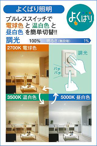 DAIKO 大光電機 色温度切替ダウンライト DDL-6201FBG | 商品紹介