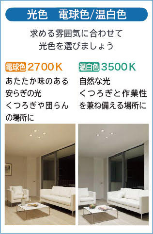 DAIKO 大光電機 ダウンライト DDL-6224AW | 商品紹介 | 照明器具の通信
