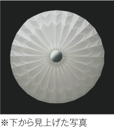 KOIZUMI AH42699L LED天井照明 展示品C-2502TL9 KOIZUMI 蛍光灯