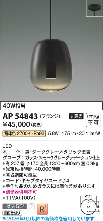 Koizumi コイズミ照明 LEDペンダント AP54843 | 商品紹介 | 照明器具の